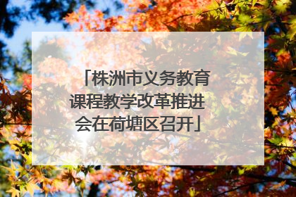 株洲市义务教育课程教学改革推进会在荷塘区召开