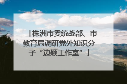 株洲市委统战部、市教育局调研党外知识分子“边颖工作室”