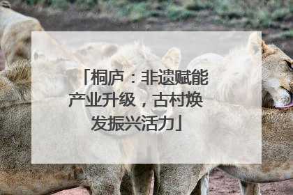 桐庐：非遗赋能产业升级，古村焕发振兴活力