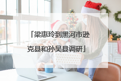 梁惠玲到黑河市逊克县和孙吴县调研