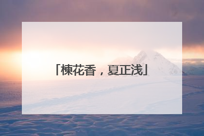 楝花香，夏正浅