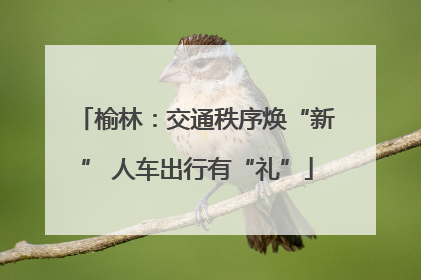 榆林：交通秩序焕“新” 人车出行有“礼”