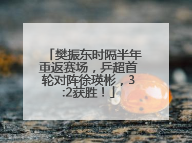 樊振东时隔半年重返赛场，乒超首轮对阵徐瑛彬，3:2获胜！