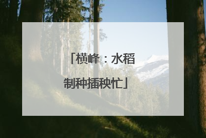 横峰：水稻制种插秧忙