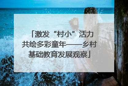 激发“村小”活力 共绘多彩童年——乡村基础教育发展观察