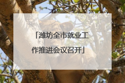 潍坊全市就业工作推进会议召开
