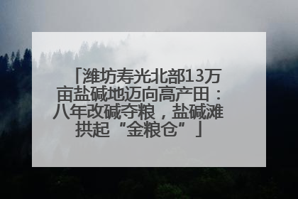 潍坊寿光北部13万亩盐碱地迈向高产田：八年改碱夺粮，盐碱滩拱起“金粮仓”