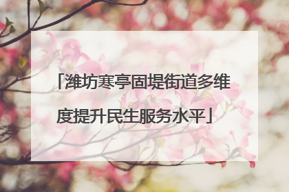 潍坊寒亭固堤街道多维度提升民生服务水平