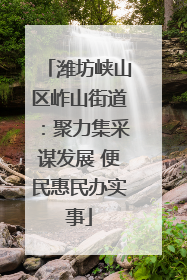 潍坊峡山区岞山街道：聚力集采谋发展 便民惠民办实事