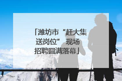 潍坊市“赶大集 送岗位” 现场招聘圆满落幕