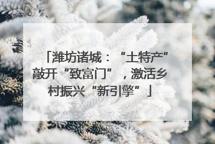 潍坊诸城：“土特产”敲开“致富门”，激活乡村振兴“新引擎”