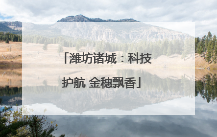 潍坊诸城：科技护航 金穗飘香