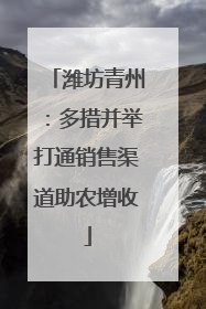 潍坊青州：多措并举打通销售渠道助农增收