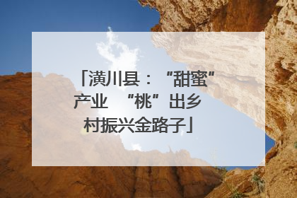 潢川县：“甜蜜”产业  “桃”出乡村振兴金路子