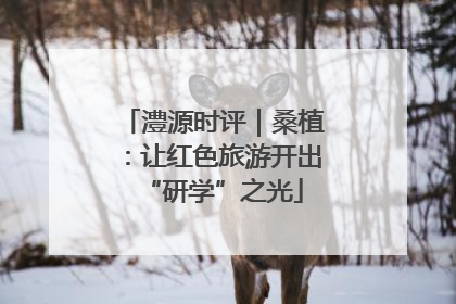 澧源时评｜桑植：让红色旅游开出“研学”之光