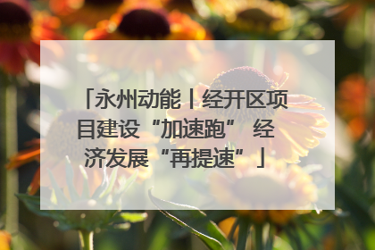 永州动能丨经开区项目建设“加速跑” 经济发展“再提速”