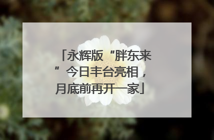 永辉版“胖东来”今日丰台亮相，月底前再开一家