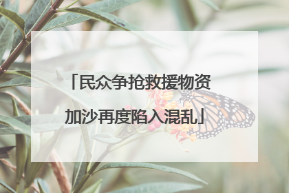 民众争抢救援物资 加沙再度陷入混乱
