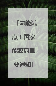 氢能试点！国家能源局重要通知