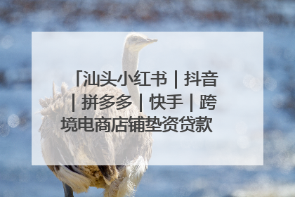 汕头小红书｜抖音｜拼多多｜快手｜跨境电商店铺垫资贷款企业-漫商易