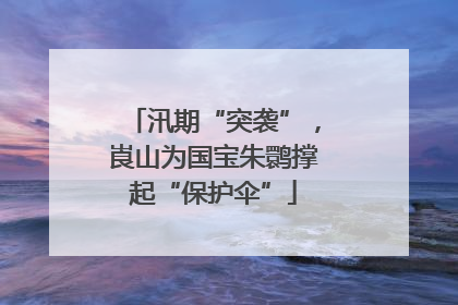 汛期“突袭”，崀山为国宝朱鹮撑起“保护伞”