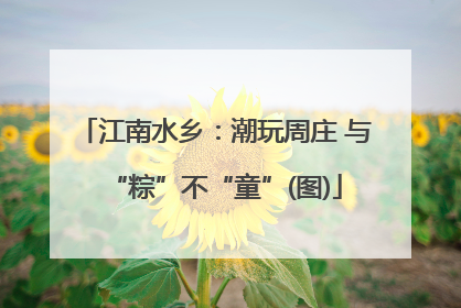 江南水乡：潮玩周庄 与“粽”不“童”(图)
