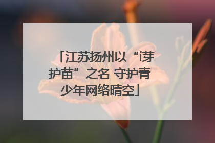 江苏扬州以“i芽护苗”之名 守护青少年网络晴空