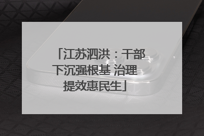 江苏泗洪：干部下沉强根基 治理提效惠民生