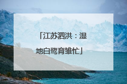 江苏泗洪：湿地白鹭育雏忙
