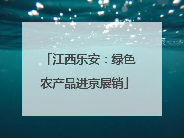 江西乐安：绿色农产品进京展销