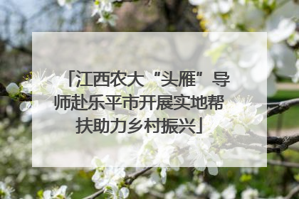 江西农大“头雁”导师赴乐平市开展实地帮扶助力乡村振兴
