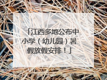江西多地公布中小学（幼儿园）暑假放假安排！