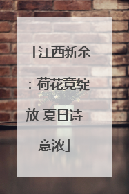 江西新余：荷花竞绽放 夏日诗意浓