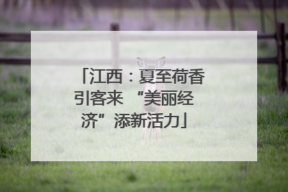 江西：夏至荷香引客来 “美丽经济”添新活力