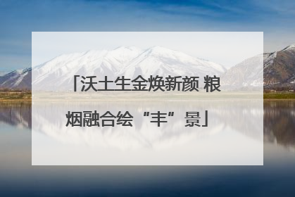 沃土生金焕新颜 粮烟融合绘“丰”景