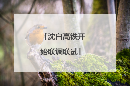 沈白高铁开始联调联试