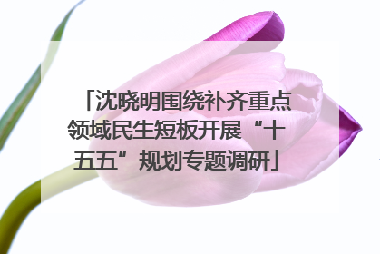 沈晓明围绕补齐重点领域民生短板开展“十五五”规划专题调研