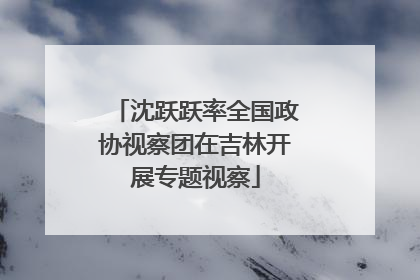 沈跃跃率全国政协视察团在吉林开展专题视察