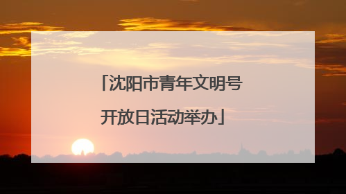 沈阳市青年文明号开放日活动举办