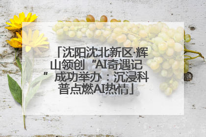 沈阳沈北新区·辉山领创“AI奇遇记”成功举办：沉浸科普点燃AI热情