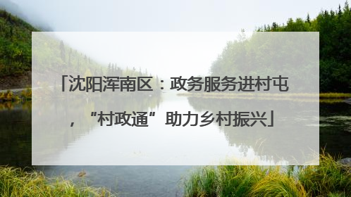 沈阳浑南区：政务服务进村屯，“村政通”助力乡村振兴