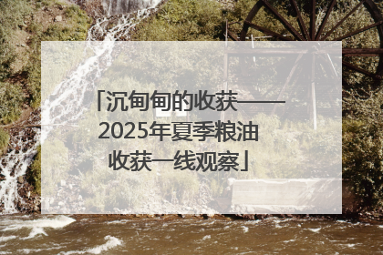 沉甸甸的收获——2025年夏季粮油收获一线观察