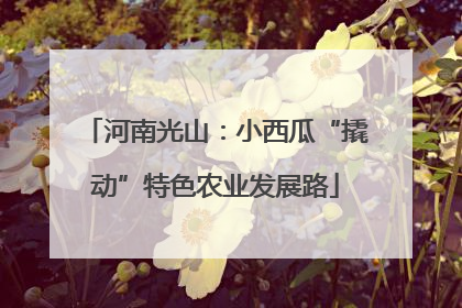 河南光山：小西瓜“撬动”特色农业发展路