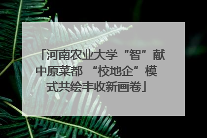 河南农业大学“智”献中原菜都 “校地企”模式共绘丰收新画卷