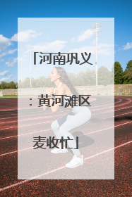 河南巩义：黄河滩区麦收忙