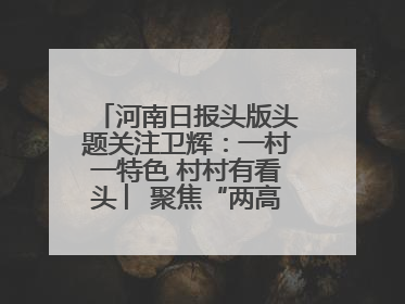 河南日报头版头题关注卫辉：一村一特色 村村有看头 ︳聚焦“两高四着力”·一“县”观察