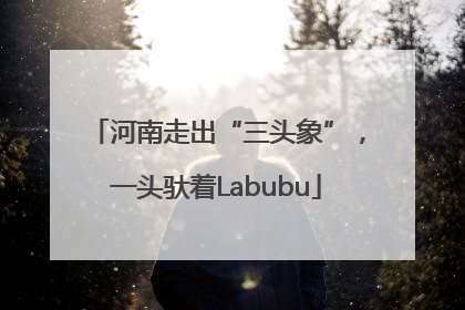 河南走出“三头象”，一头驮着Labubu