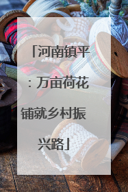 河南镇平：万亩荷花铺就乡村振兴路