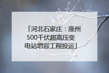 河北石家庄：廉州500千伏超高压变电站增容工程投运