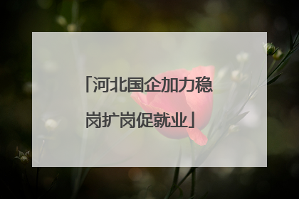 河北国企加力稳岗扩岗促就业